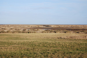 Stiffkey Marshes in Norfolk