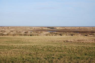 Stiffkey Marshes